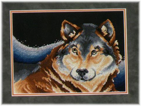 J Crews Portrait of a Wolf. Animals: