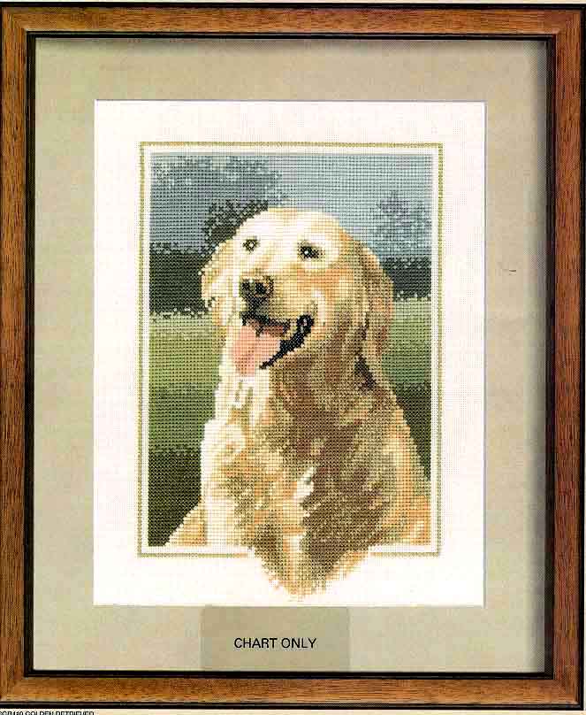 Heritage Golden Retriever. Animals: