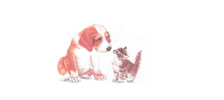 First Meeting. Animals: