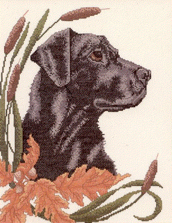 Candamar Black Lab & Cattails. Animals: