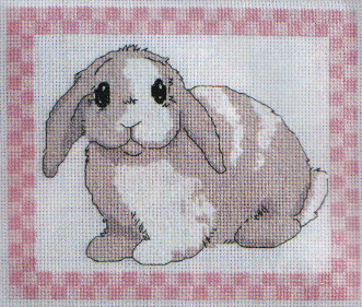 Rosie II. DMC Perfect Pets