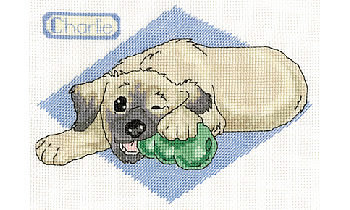 Charlie. DMC Perfect Pets