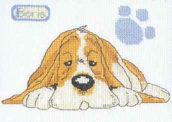 Boris II. DMC Perfect Pets