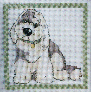 Bob II. DMC Perfect Pets