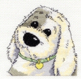 Bob I. DMC Perfect Pets