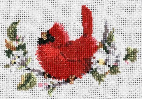 Lady in Red. Valerie Pfeiffer