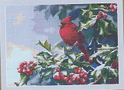 The Winter Red Bird. Birds