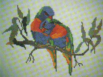 Rainbow Lorikeet. Birds
