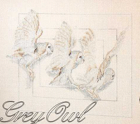 OOE Flying Owls. Birds