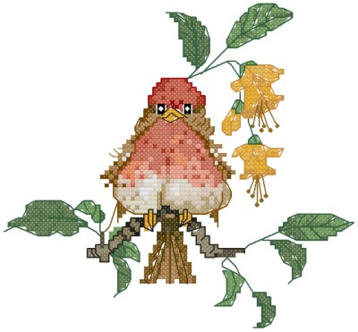 CSW Purple Finch. Birds