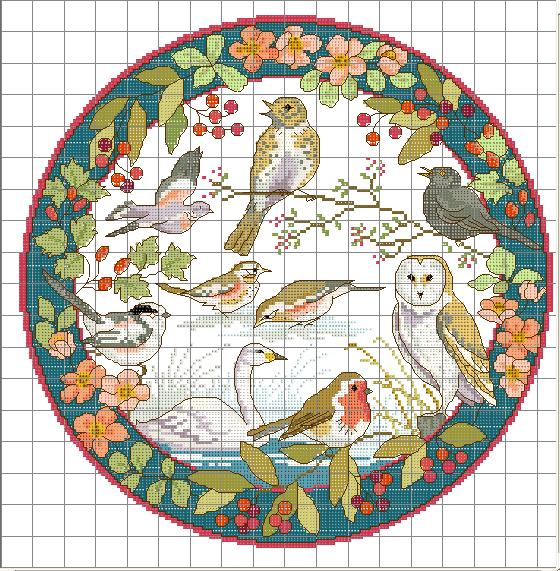 Bird Plate Winter. Birds