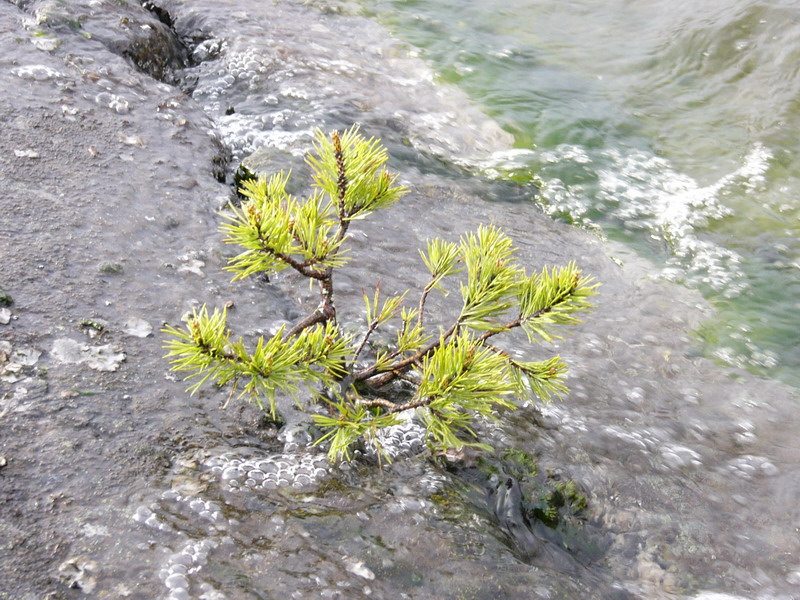 На ялах поЛадожским шхерам