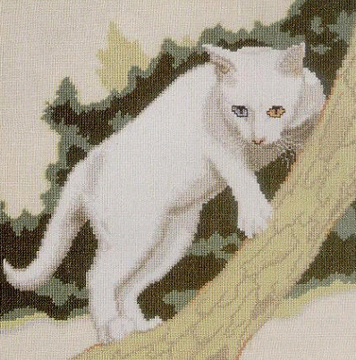 White Cat in Tree. Cats