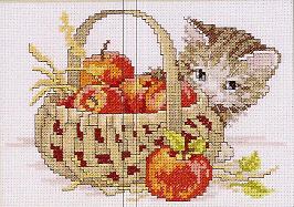 Weekenders The Apple Basket. Cats