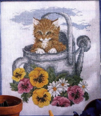 Watercan Kitty. Cats