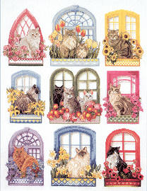 Vermillion Flower Box Cats. Cats