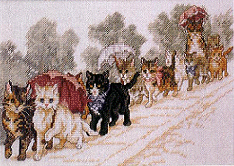 Vermillion Catwalk Promenade. Cats