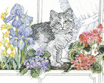 Vermillion Cat in the Window. Cats