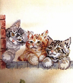 Three in a Row. Cats