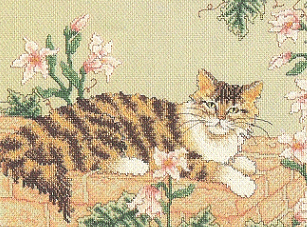 Tabathas Garden. Cats