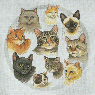 Sunset Circle of Friends. Cats