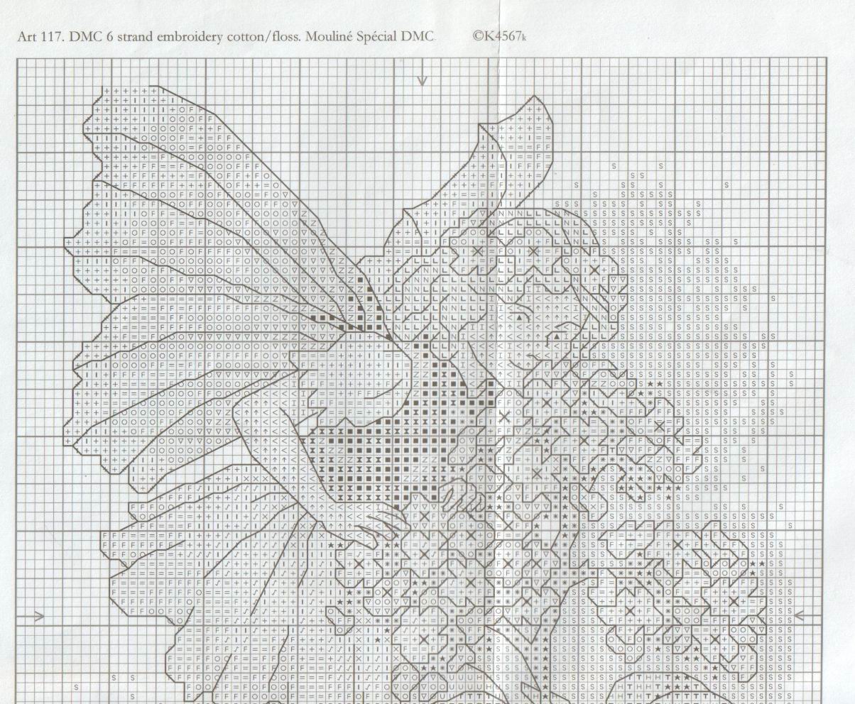 Heliotrope sch1. Heliotrope fairy