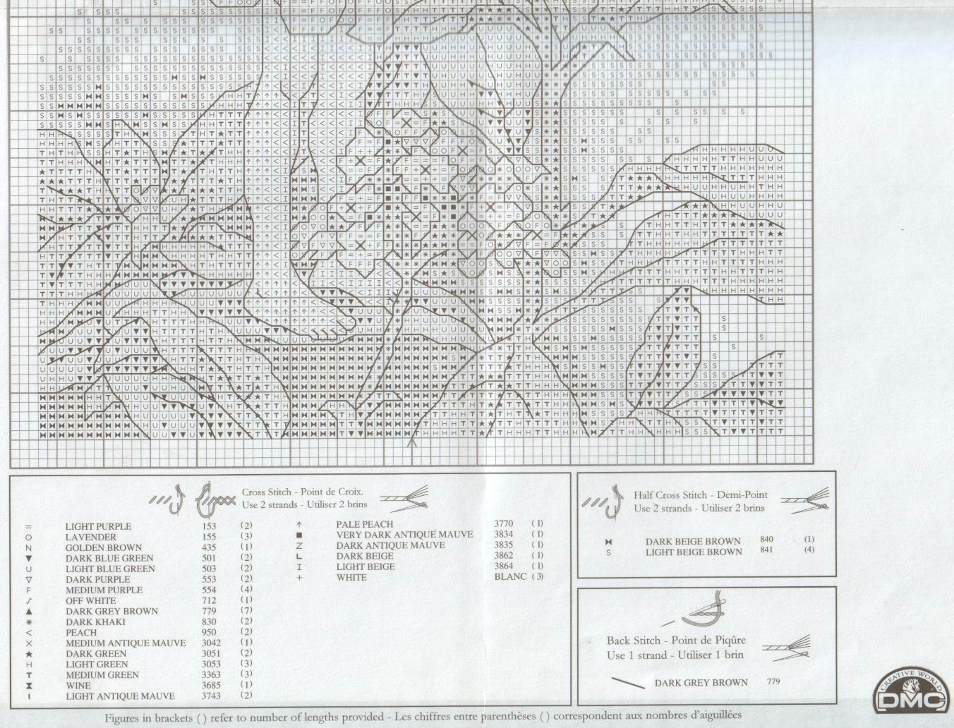 Heliotrope sch2. Heliotrope fairy