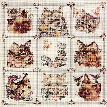 SC Cat Sampler. Cats
