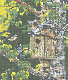 Pegasus House Sitting. Cats