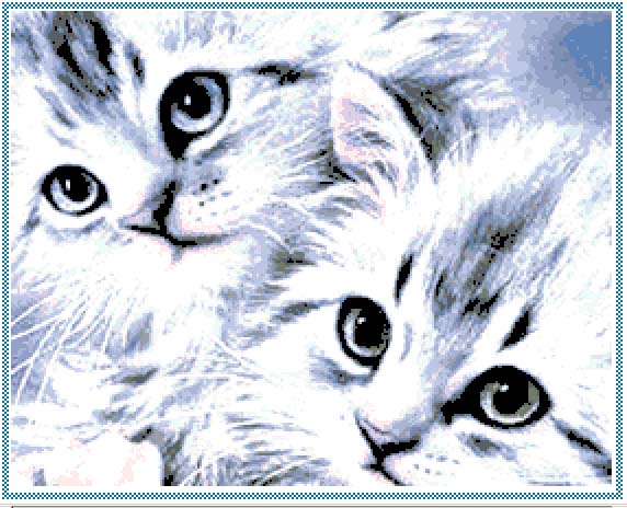 Passione Ricama Cartolina. Cats