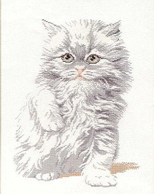 Pako Persian 235-235. Cats