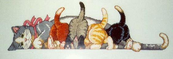 New Mom Cuisine. Cats