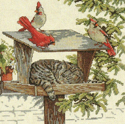 Needle Treasures Caught Napping. Cats