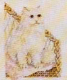 Lanarte 33-778. Cats