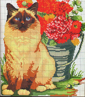 L. Colbert Siamese. Cats