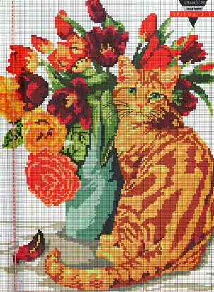 L. Colbert Orange Tabby. Cats