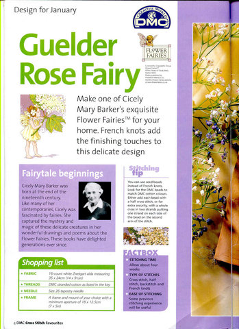 Guelder rose fairy tips. Guelder rose fairy