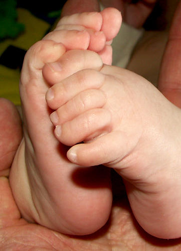 моя любимая часть тела. 