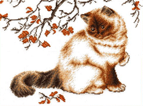 Kowku Thoughtful Cat. Cats