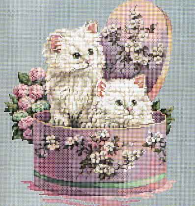 Kittens in a Hatbox. Cats
