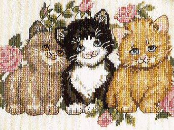 Kitten Trio. Cats