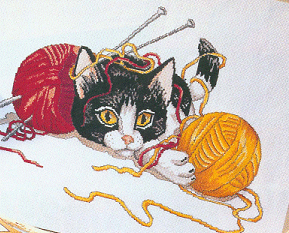 Kitten Playing. Cats