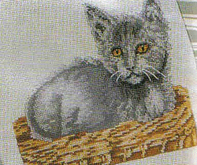 Kitten in Basket. Cats