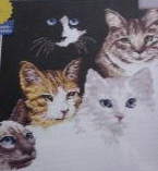 Janlynn Cats Eyes. Cats