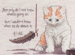 J. Crews Whats Going On. Cats