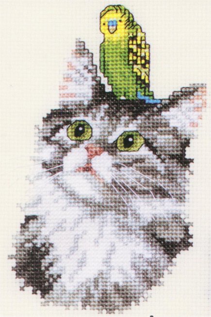 J. Crews Cat & Parakeet. Cats