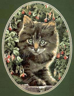 Heritage/Stubbs Tabby Kitten. Cats