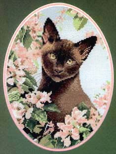 Heritage/Stubbs Burmese Cat. Cats
