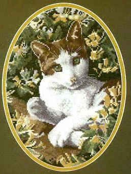 Heritage/Stubbs Brown & White Cat. Cats