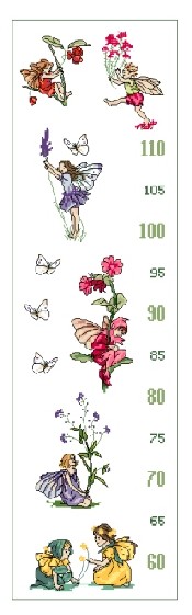 Height chart. Flower Fairy